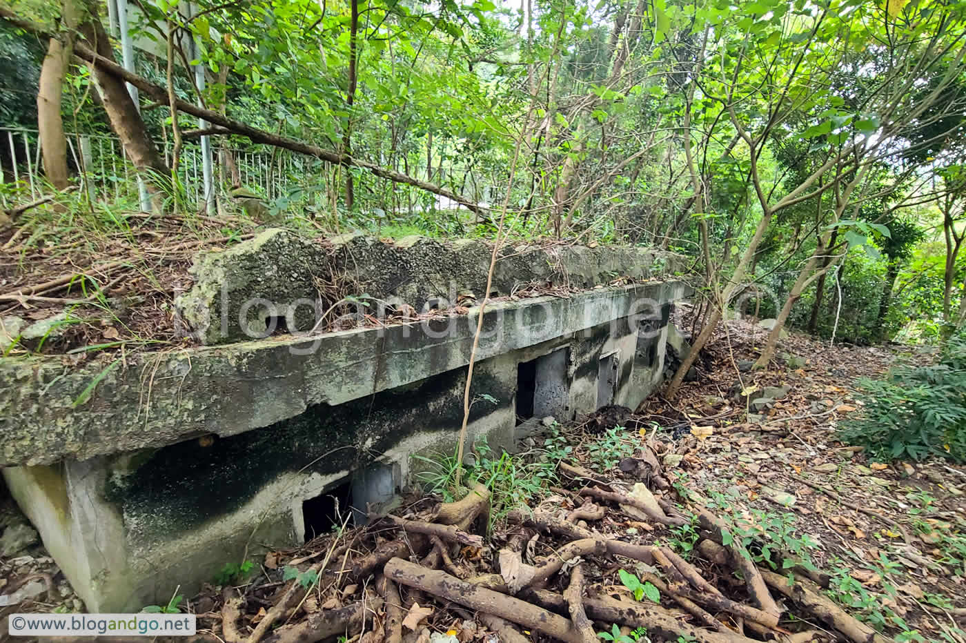 Mount Davis Battery - Structure Next to Gun Pit